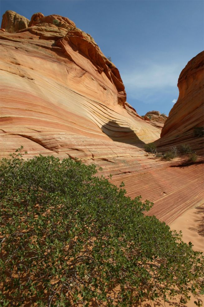 Coyote Buttes