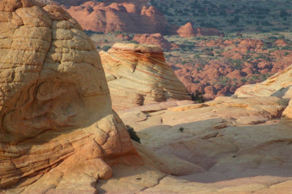 Coyote Buttes