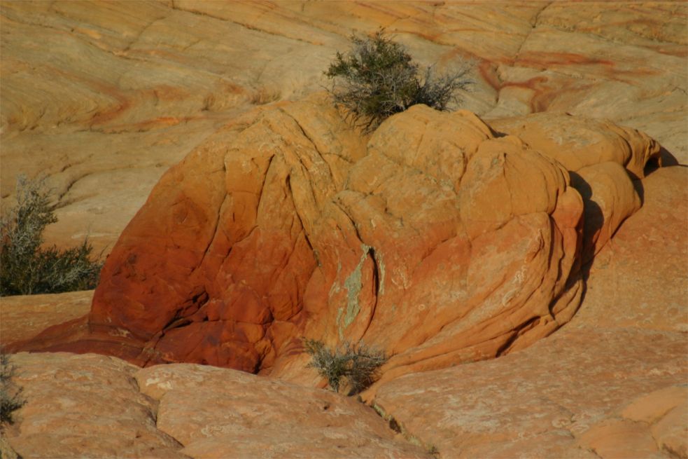 Coyote Buttes