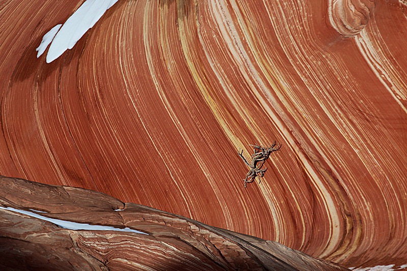 Coyote Buttes North