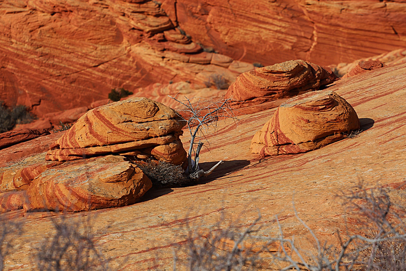 Coyote Buttes North