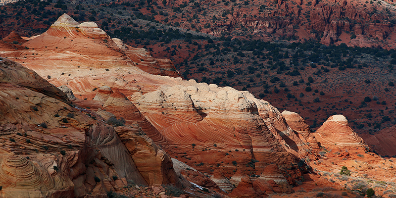 Coyote Buttes North