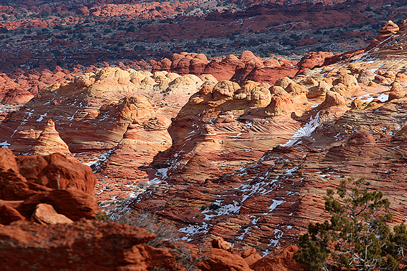 Wave und 2nd Wave via Notch [Coyote Buttes North]