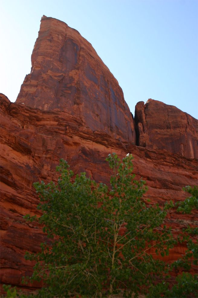 Coyote Gulch