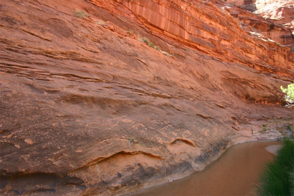 Coyote Gulch