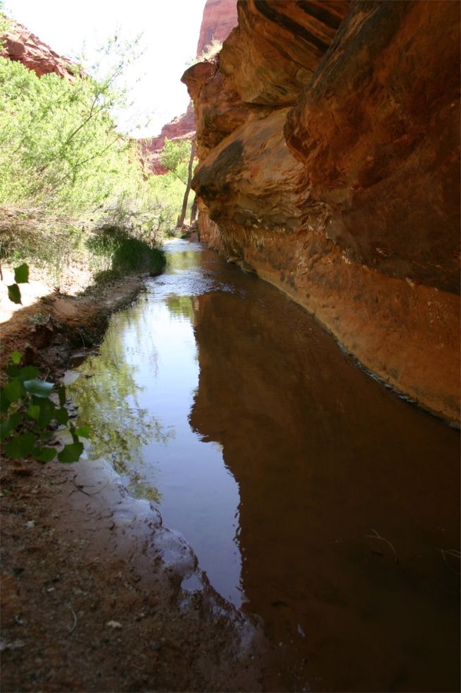 Coyote Gulch