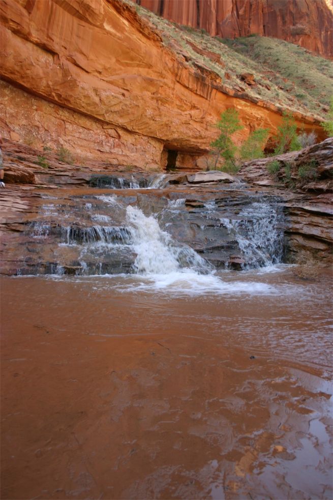 Coyote Gulch