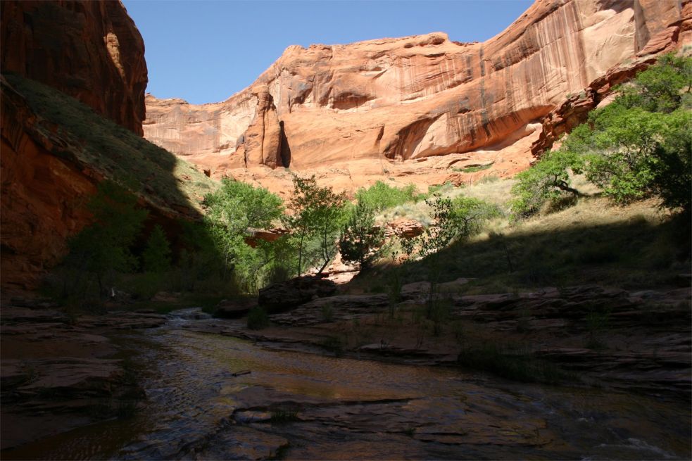 Coyote Gulch