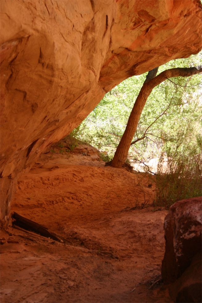 Coyote Gulch