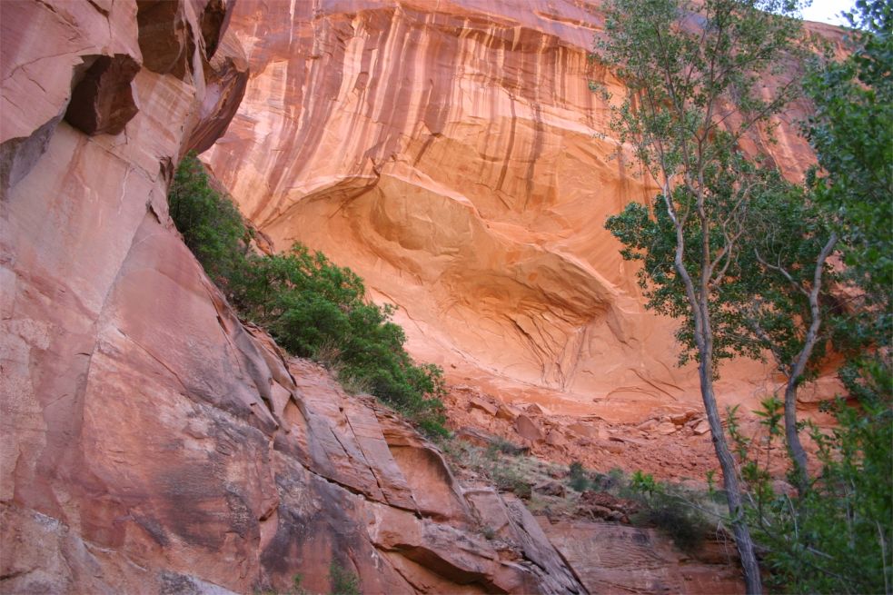 Coyote Gulch