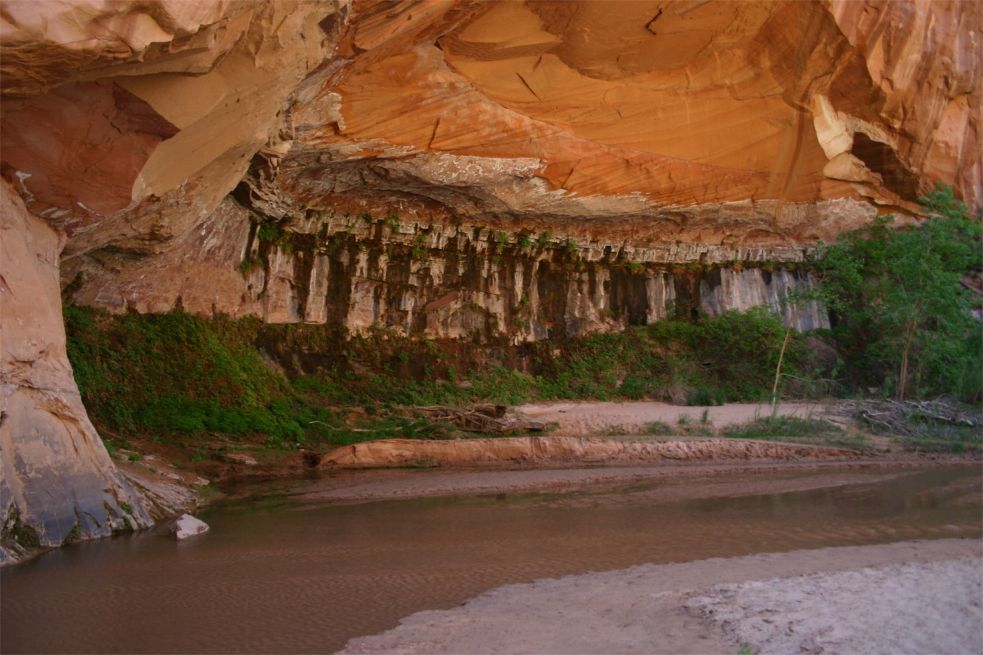 Coyote Gulch