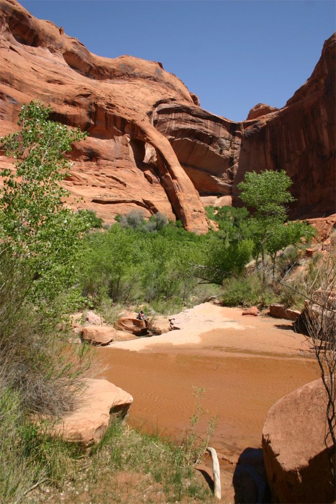 Coyote Gulch