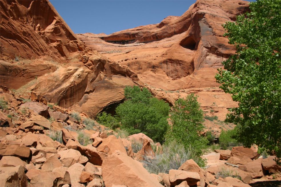 Coyote Gulch