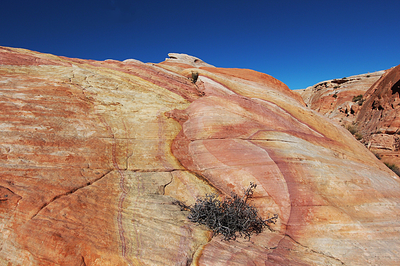 Crazy Hill Valley of Fire