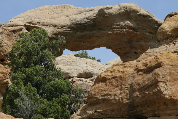 Crow Canyon Arch