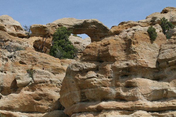 Crow Canyon Arch