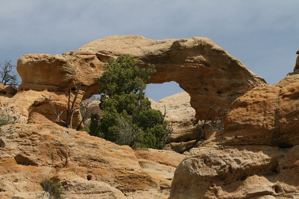 Crow Canyon Arch