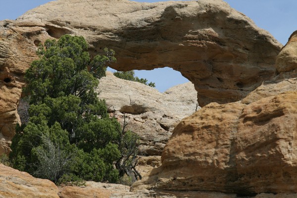 Crow Canyon Arch