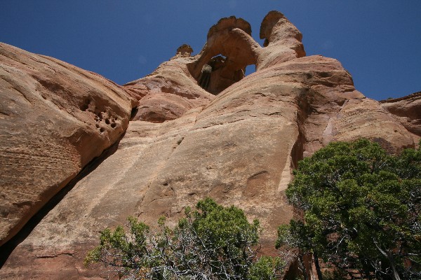 Crown Arch