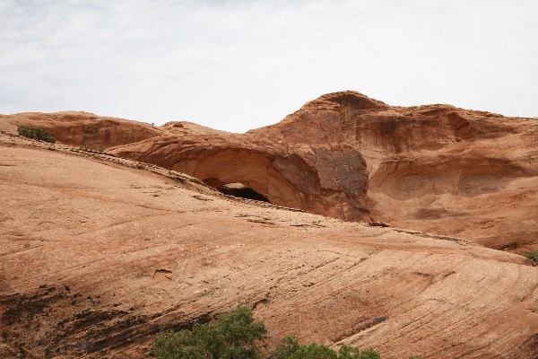 Cummings Arch