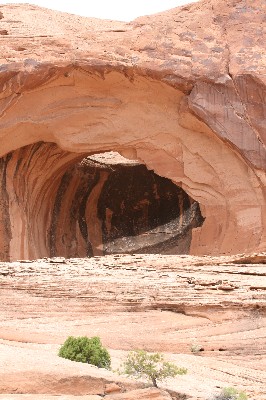 Cummings Arch