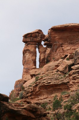 Curious Arch