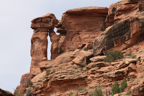 Curious Arch