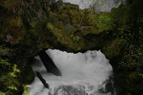 Curly Creek Bridge