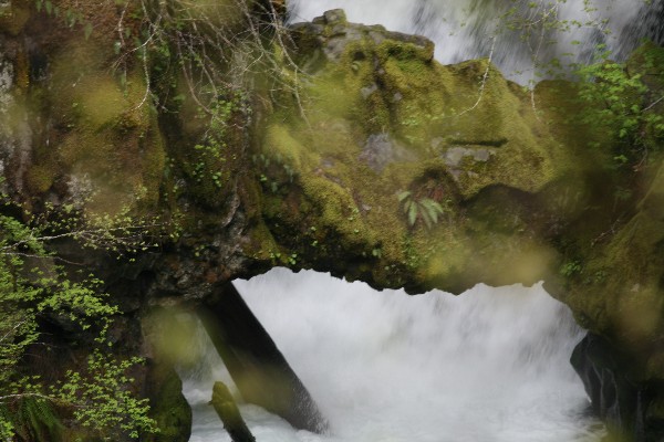 Curly Creek Bridge