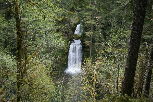 Curly Creek Falls