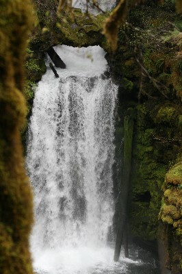 Curly Creek Falls