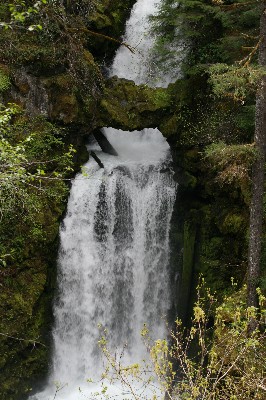 Curly Creek Falls