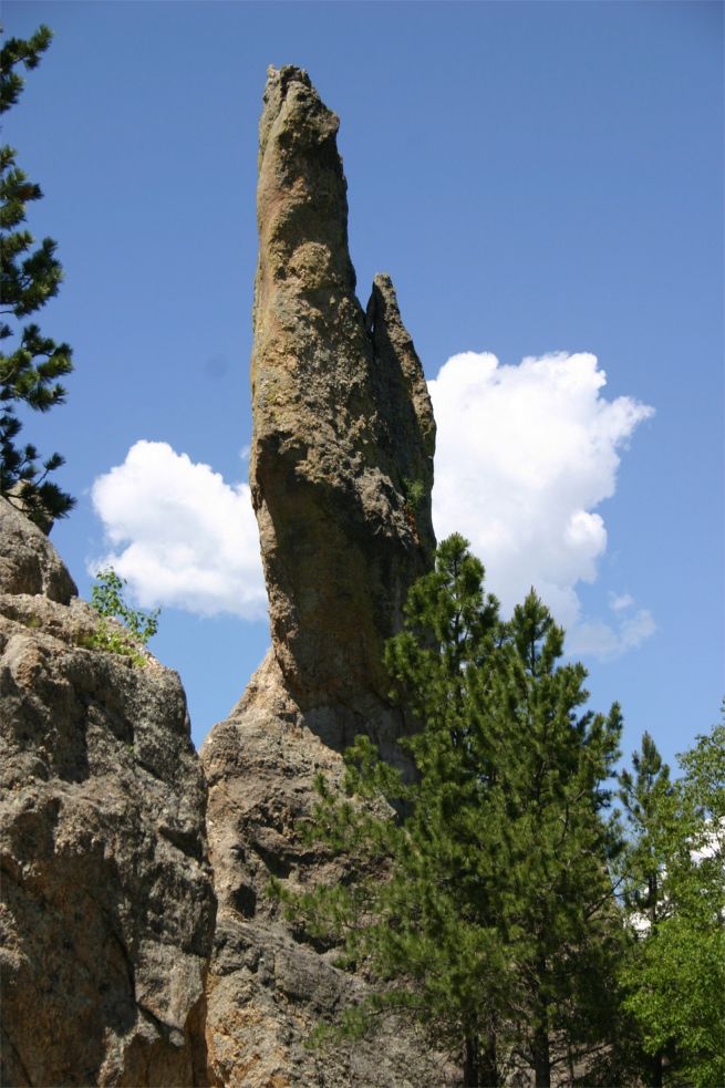 Custer State Park