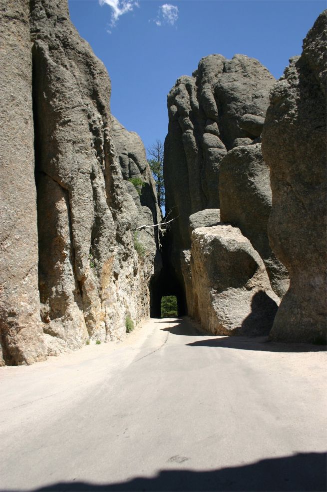 Custer State Park