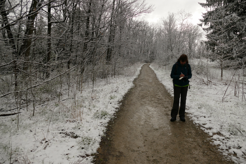 Cuyahoga Valley National Park [Standford House, Ohio & Erie Canal Towpath, Boston, Brandyvine Falls]