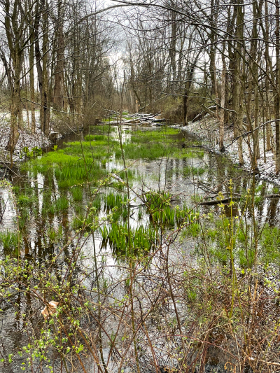 USA Hiking Database: Cuyahoga Valley National Park [Standford House, Ohio & Erie Canal Towpath, Boston, Brandywine Falls]