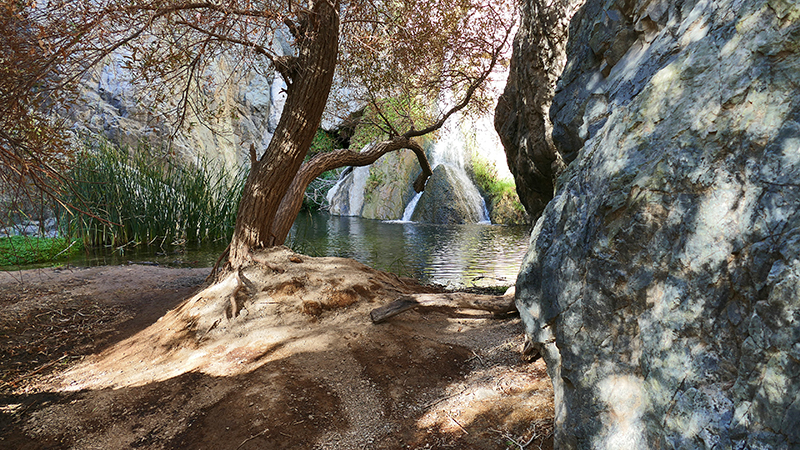 Darwin Falls Darwin Canyon Panamint Springs