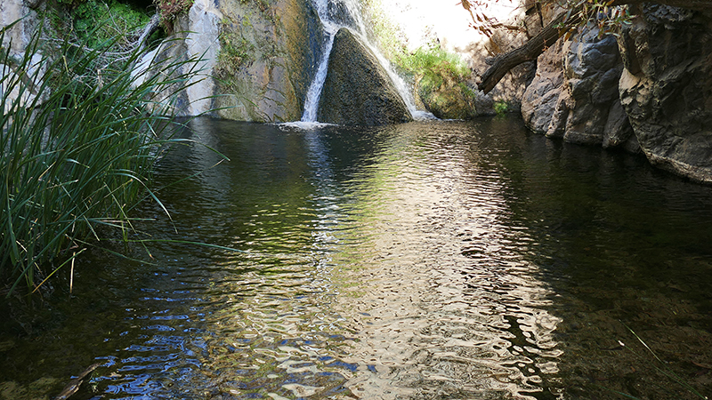 Darwin Falls Panamint Springs