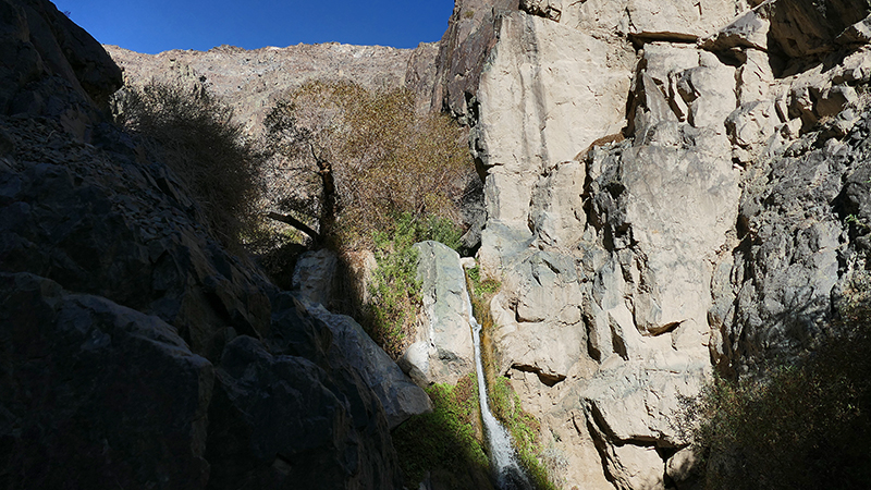 Darwin Falls Panamint Springs