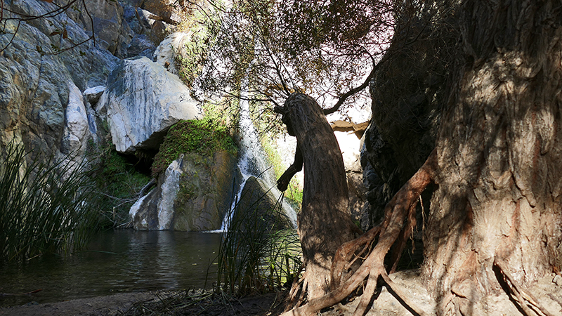 Darwin Falls Panamint Springs