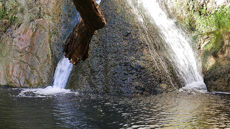 Darwin Falls Panamint Springs