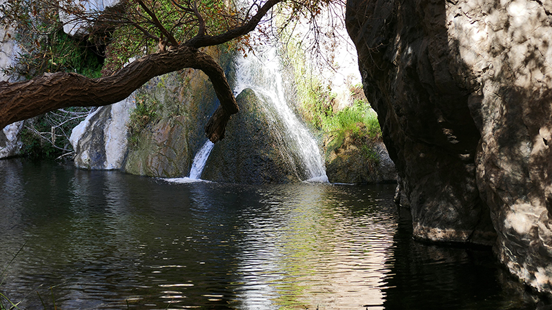 Darwin Falls Panamint Springs