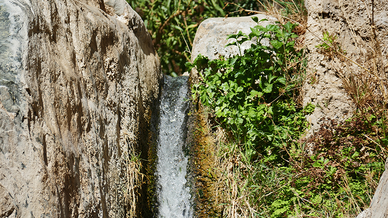 Darwin Falls Panamint Springs