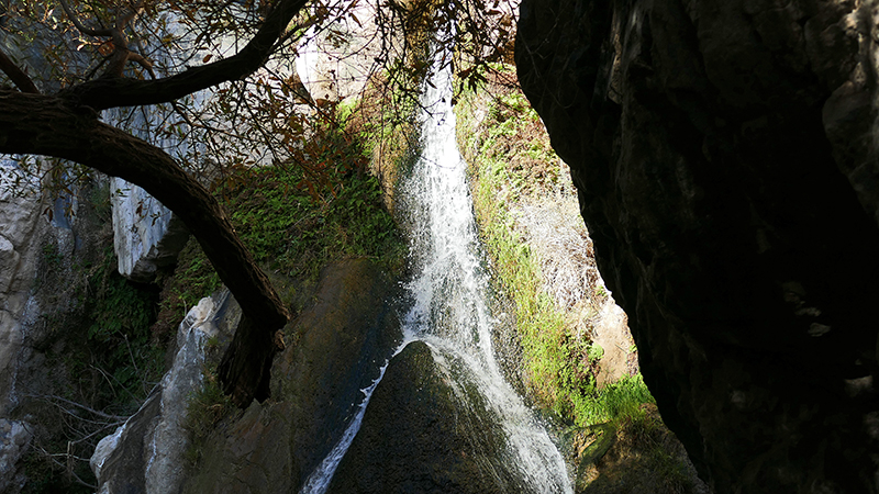 Darwin Falls Panamint Springs