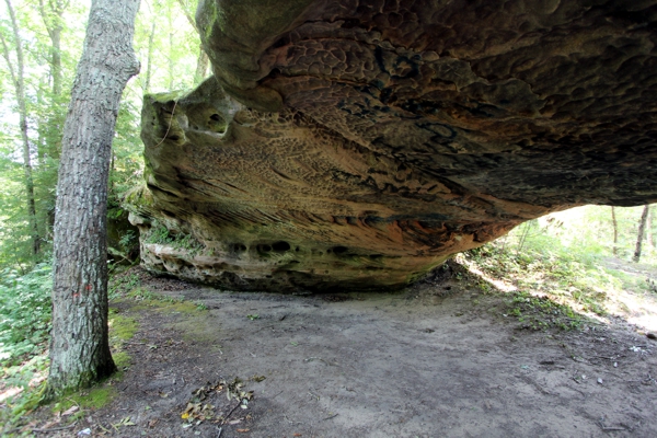 Daylight Arch East