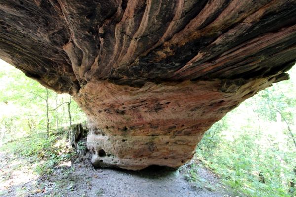 Daylight Arch West