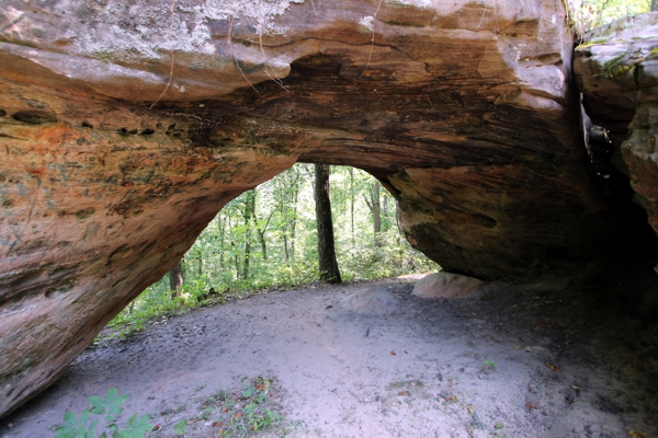 Daylight Arch West