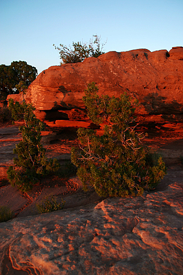 Dead Horse Point State Park