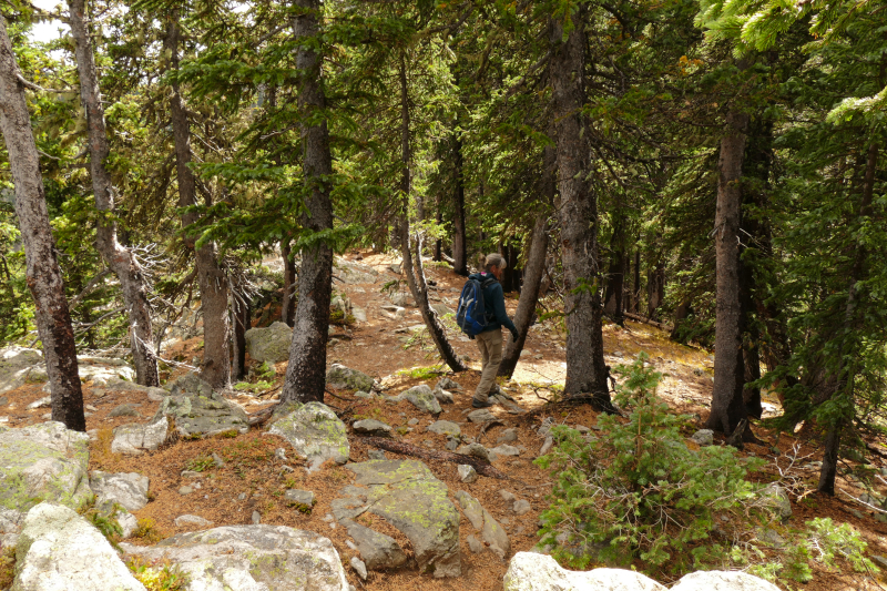 Deception Peak Loop [Santa Fe National Forest]