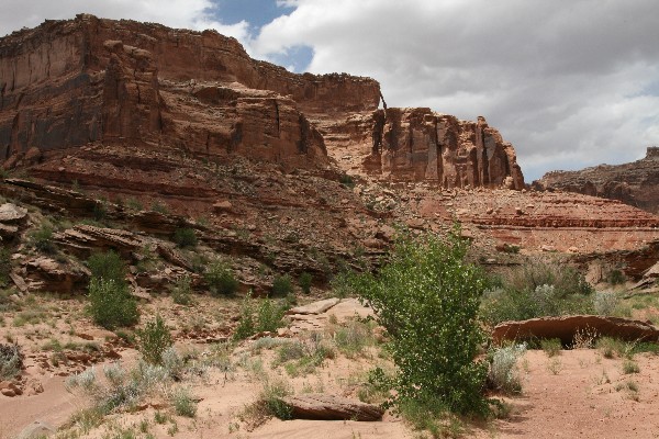 Delicate Arch II